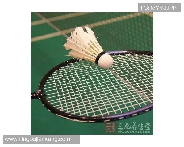 羽毛球比赛技术动作解析及训练指导