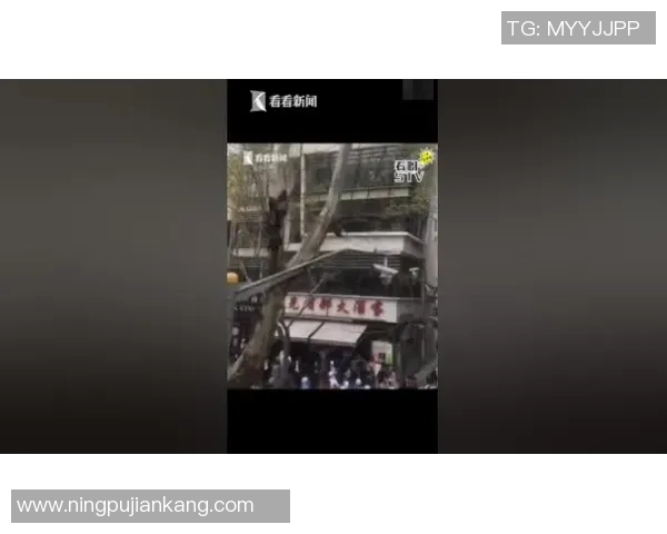 【深度解析】三分王近况+未来走势预测 【深度解析】三分王近况+未来走势预测